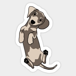 Happy dachshund illustration Sticker